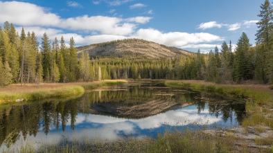 blue spring state park