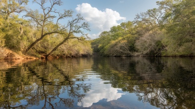 de leon springs state park