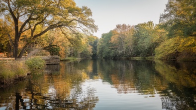 green springs park