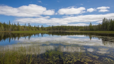 prairie lake reserve