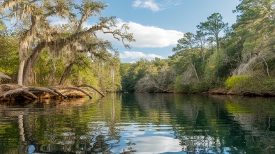 wekiwa springs state park